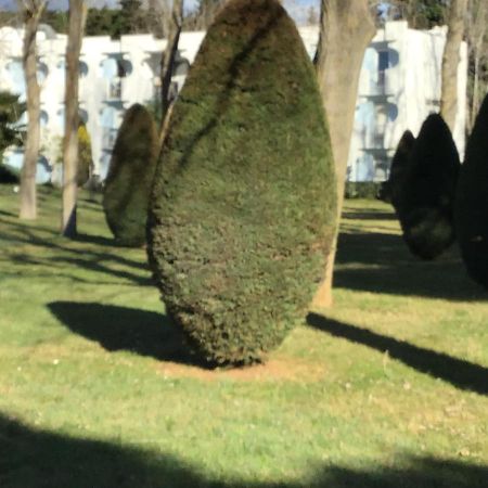 Apartamento T3 Les Peupliers Proche Pasino Et Mer La Grande-Motte Exterior foto