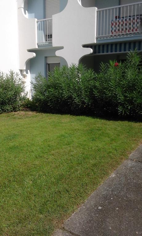 Apartamento T3 Les Peupliers Proche Pasino Et Mer La Grande-Motte Exterior foto